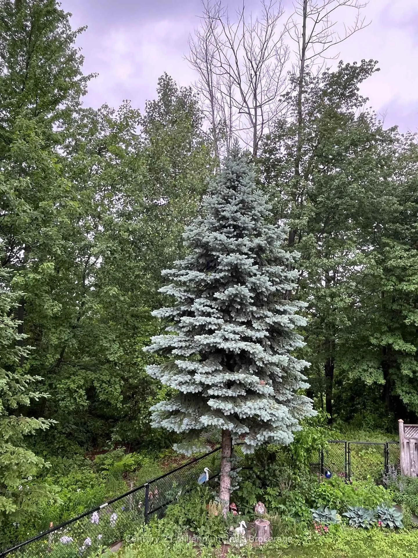 Photo 38 of 19 Tanager Crescent, Wasaga Beach — HOMEH