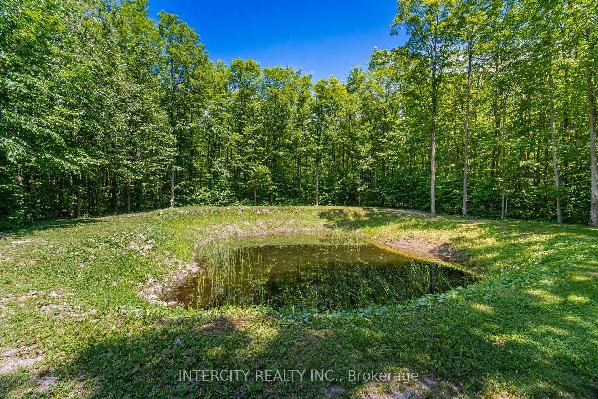 Photo 7 of 4655 10 Line N, Oro-Medonte, Rural Oro-Medonte — HOMEH