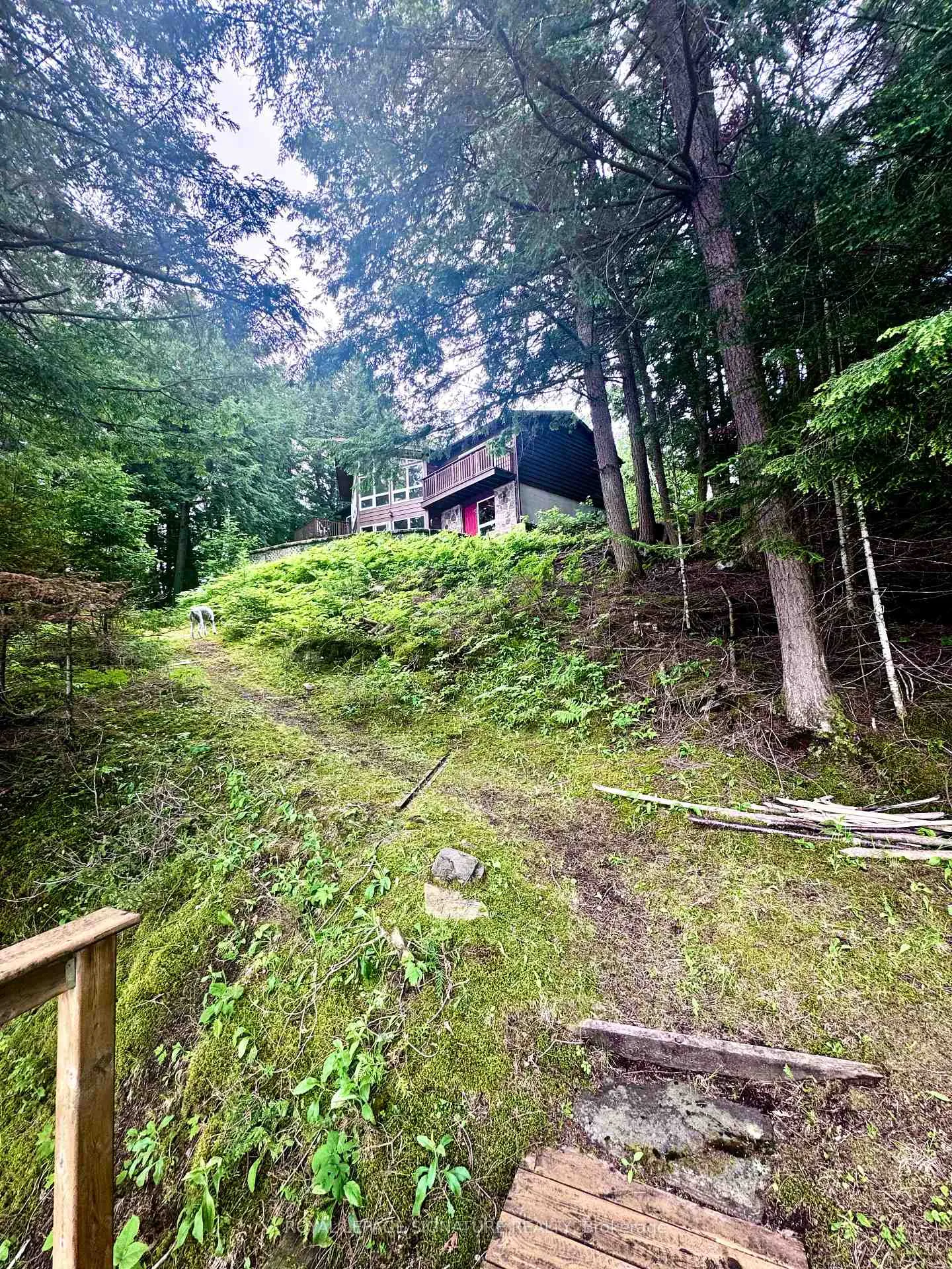 Photo 29 of 1295 Beaverdam Trail, Minden Hills, Snowdon — HOMEH