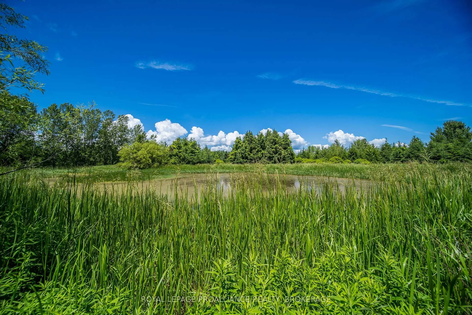 Photo 12 of PT LT 18-19 Front Road, Loyalist, Amherst Island — HOMEH