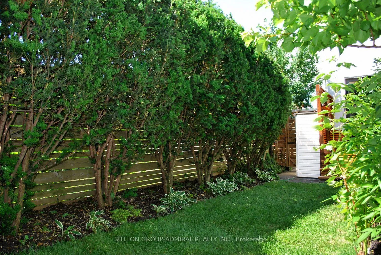 Photo 16 of 101 Laughton Avenue, Toronto, Weston-Pellam Park — HOMEH
