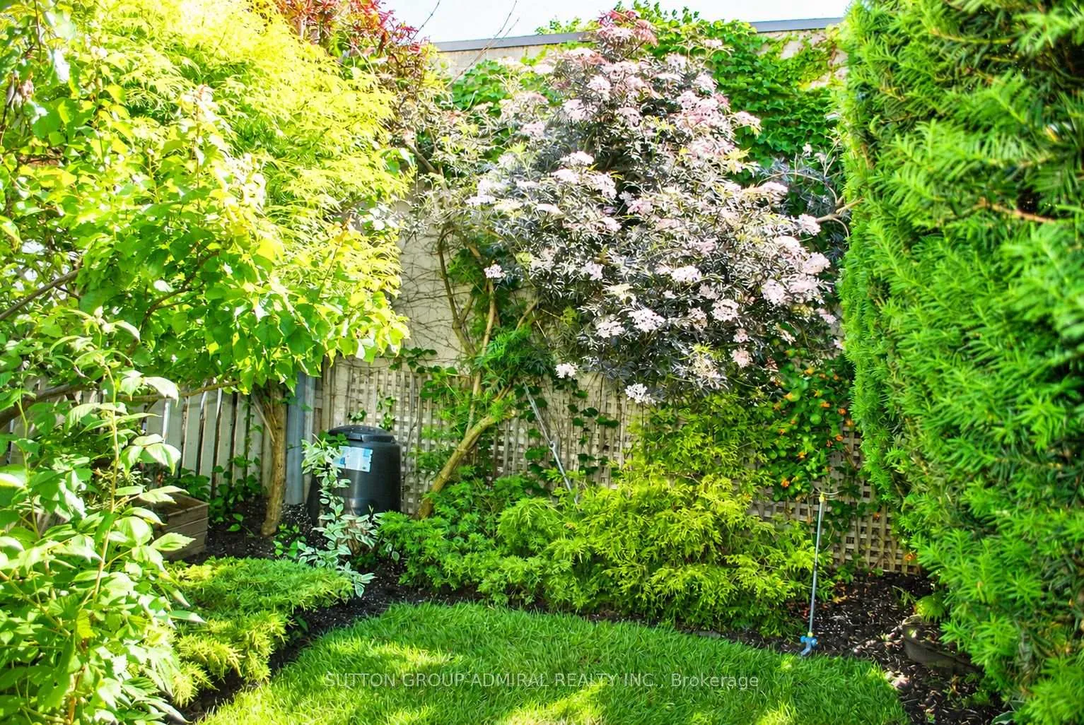 Photo 17 of 101 Laughton Avenue, Toronto, Weston-Pellam Park — HOMEH