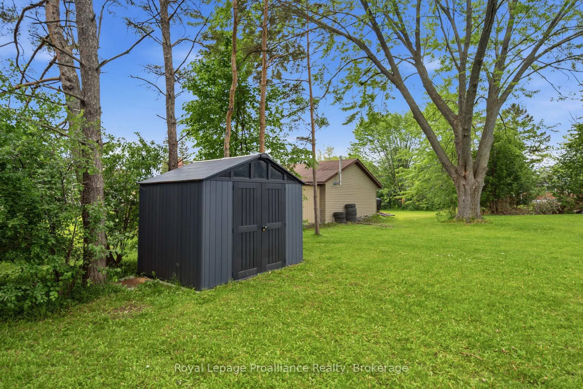 Photo 33 of 41 Tracey Street, Belleville, Belleville Ward — HOMEH