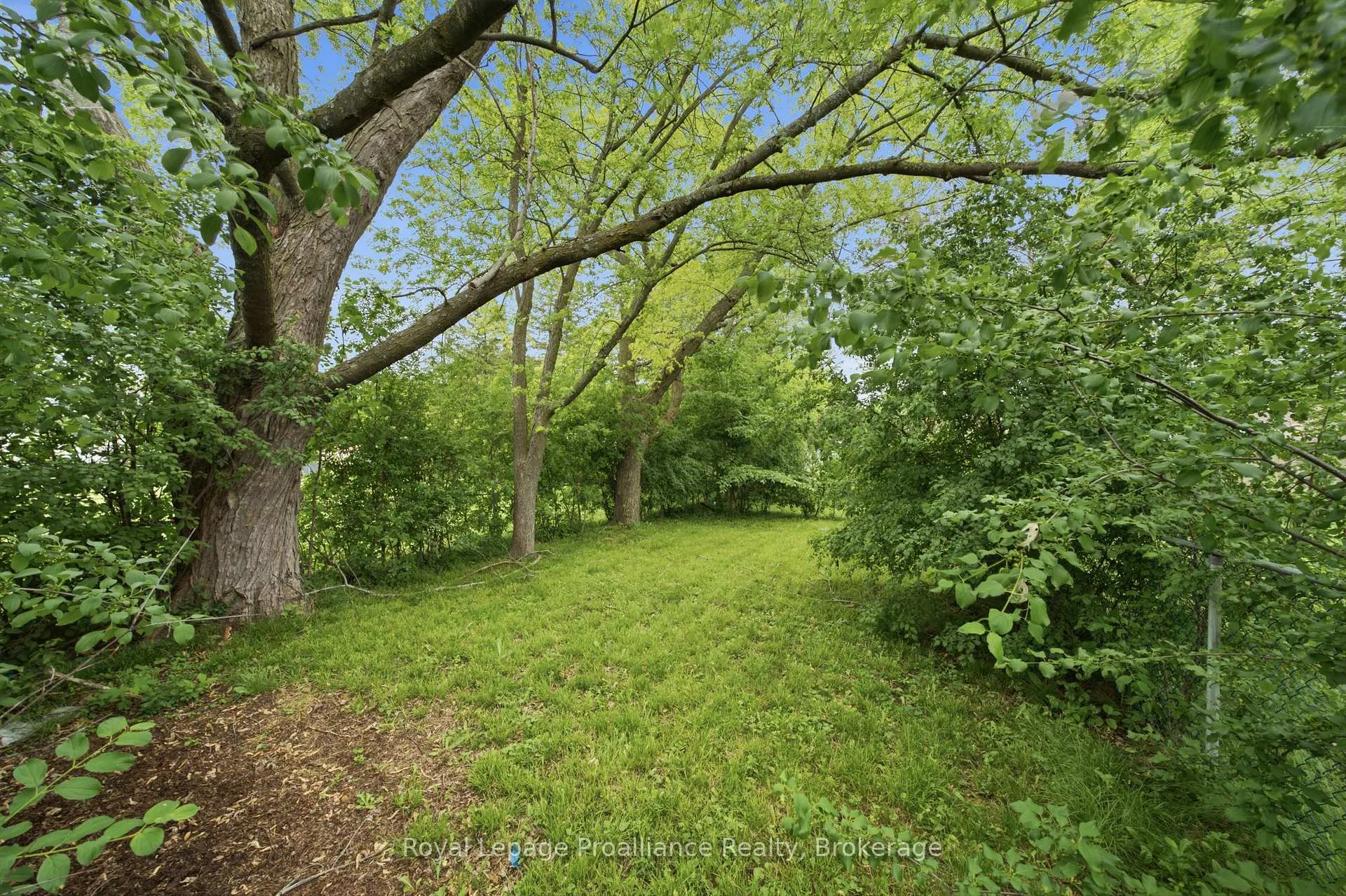 Photo 37 of 41 Tracey Street, Belleville, Belleville Ward — HOMEH