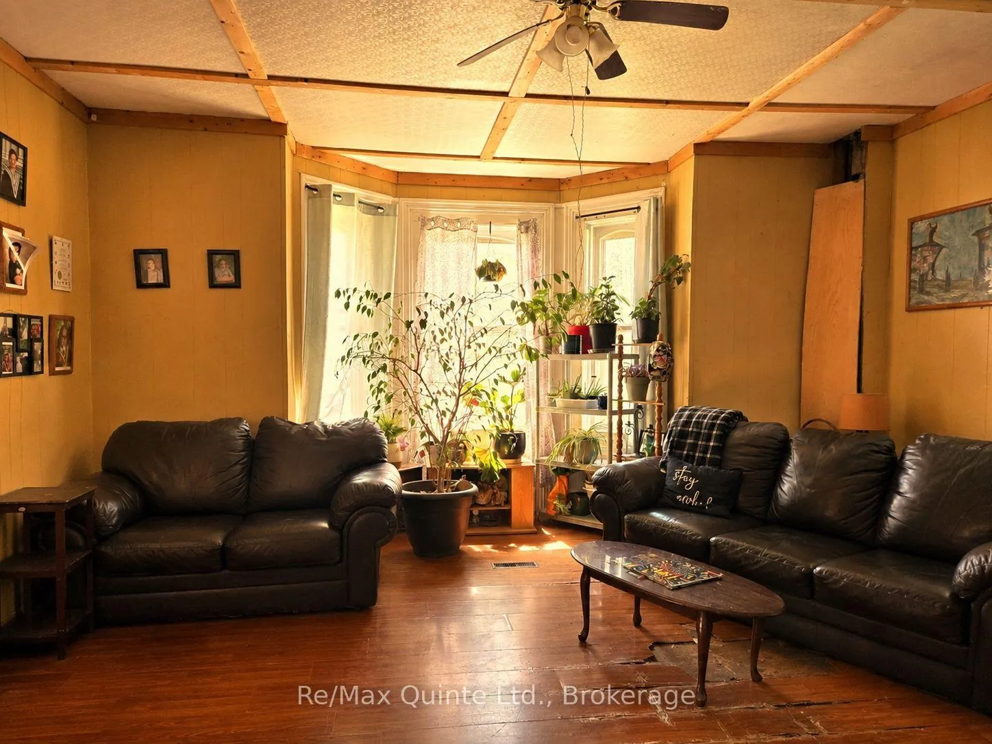 Photo 5 of 10 Declair Road, Tweed, Elzevir (Twp) — HOMEH