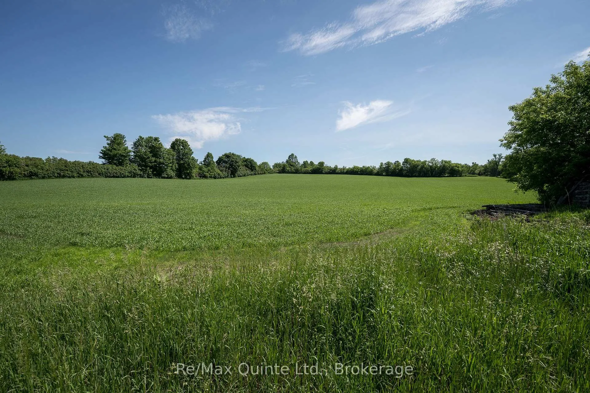 Photo 24 of 10 Declair Road, Tweed, Elzevir (Twp) — HOMEH
