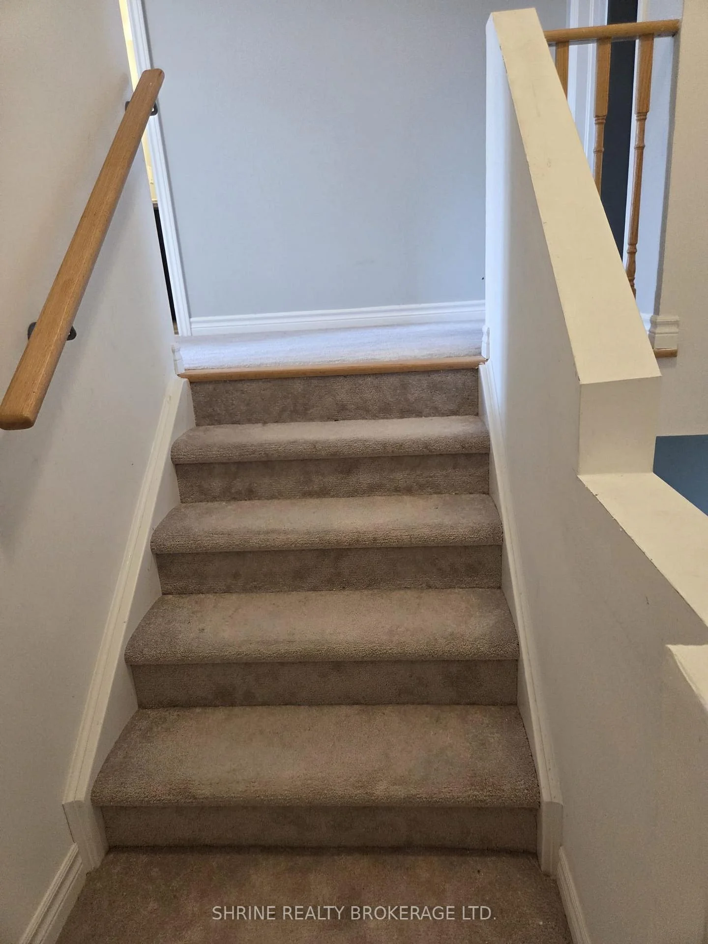 Photo 9 of 19 Middleton Street N, Southgate — HOMEH
