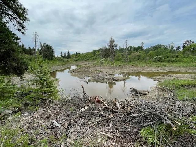 Photo 29 of 588 Thiel Road, Dryden, Government Road — HOMEH
