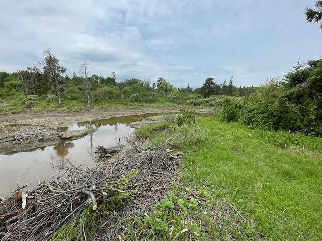 Photo 30 of 588 Thiel Road, Dryden, Government Road — HOMEH