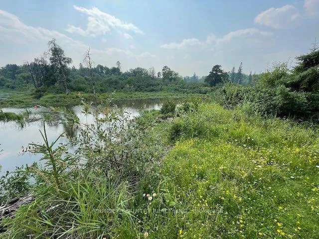 Photo 31 of 588 Thiel Road, Dryden, Government Road — HOMEH