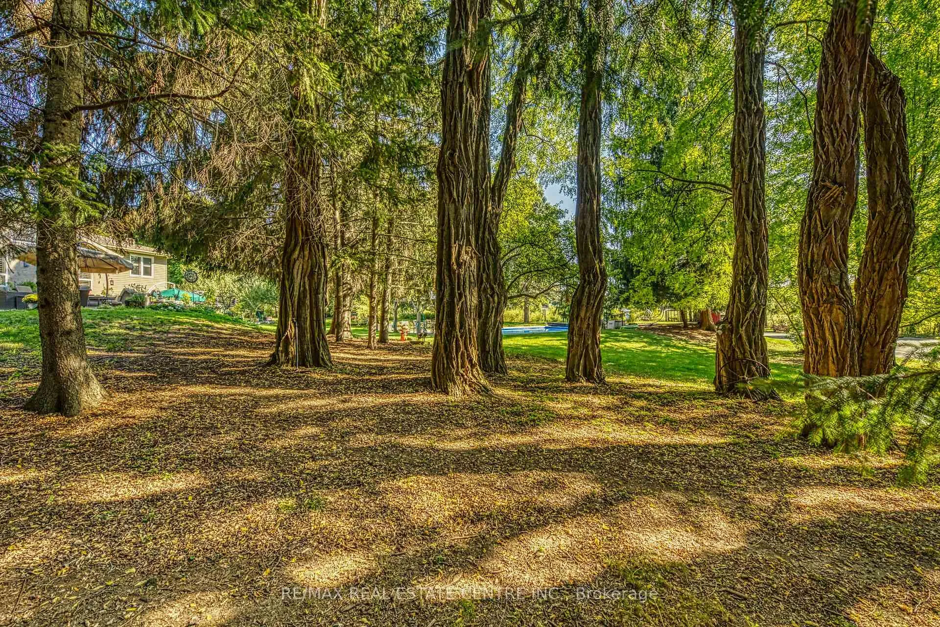 Photo 37 of 5590 Blind Line, Burlington, Rural Burlington — HOMEH