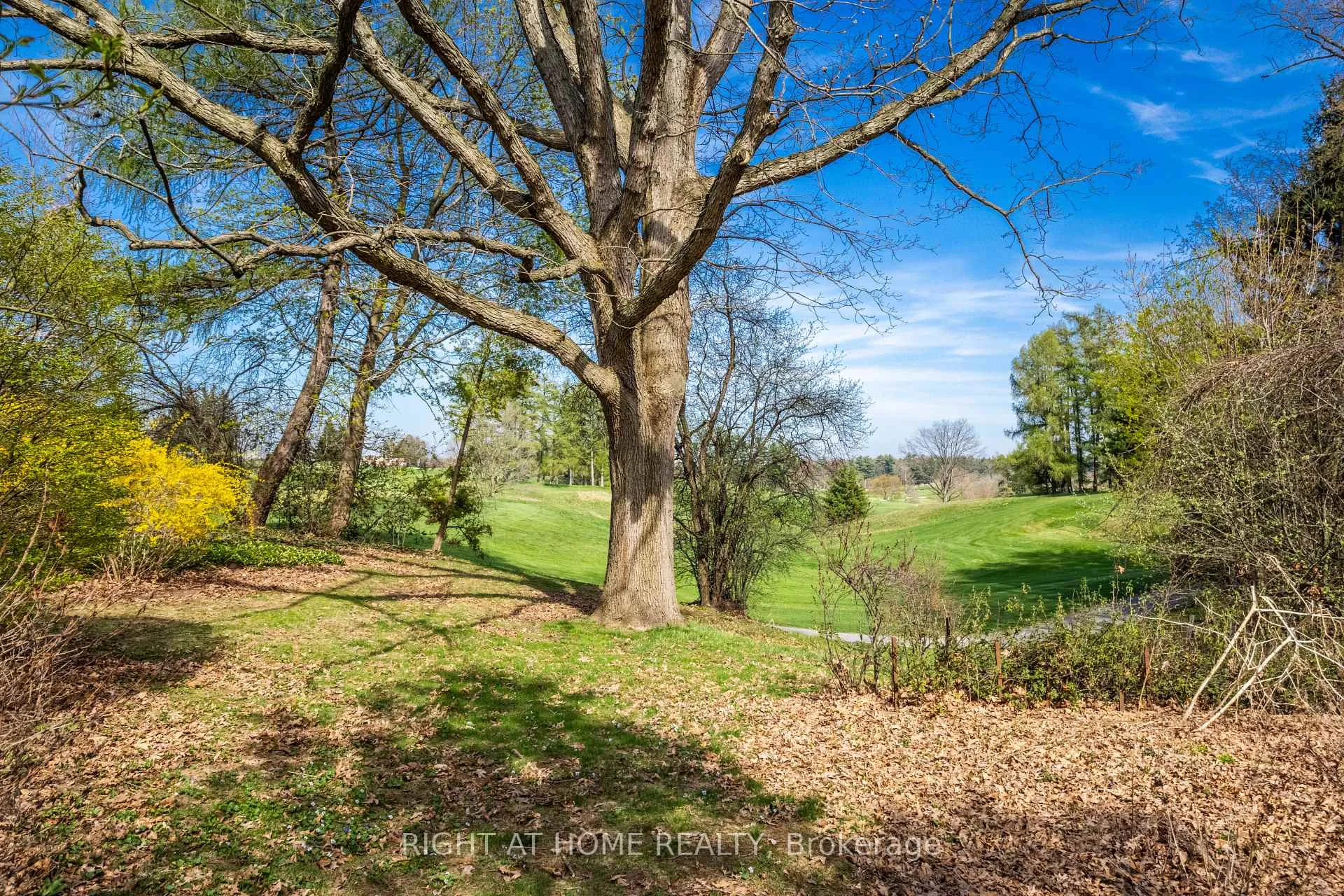 Photo 34 of 67 St Margarets Road, Hamilton, Ancaster — HOMEH