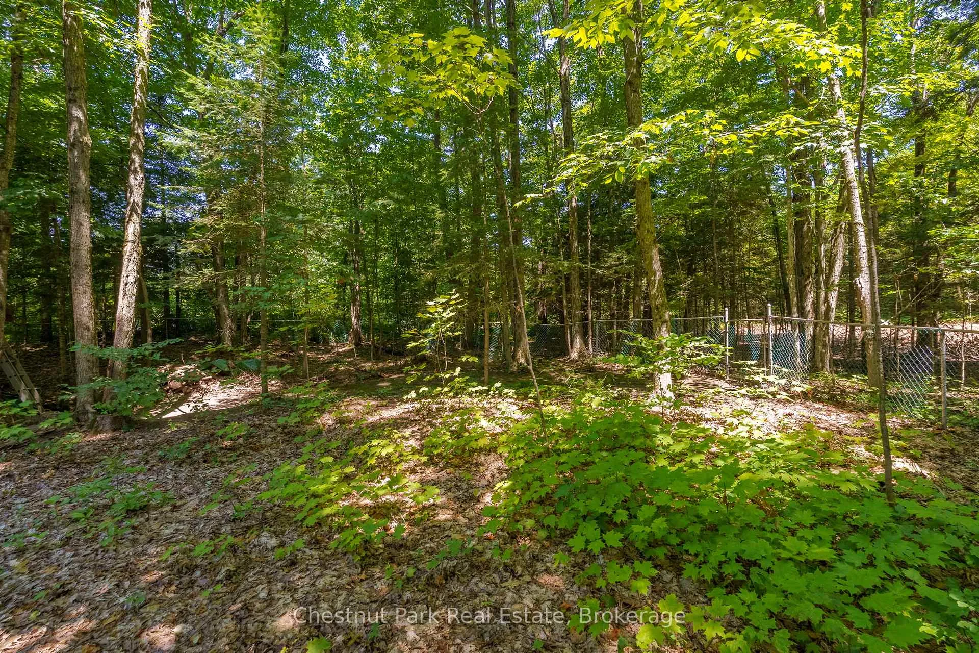 Photo 39 of 20 Kevin Crescent, Bracebridge, Monck (Bracebridge) — HOMEH