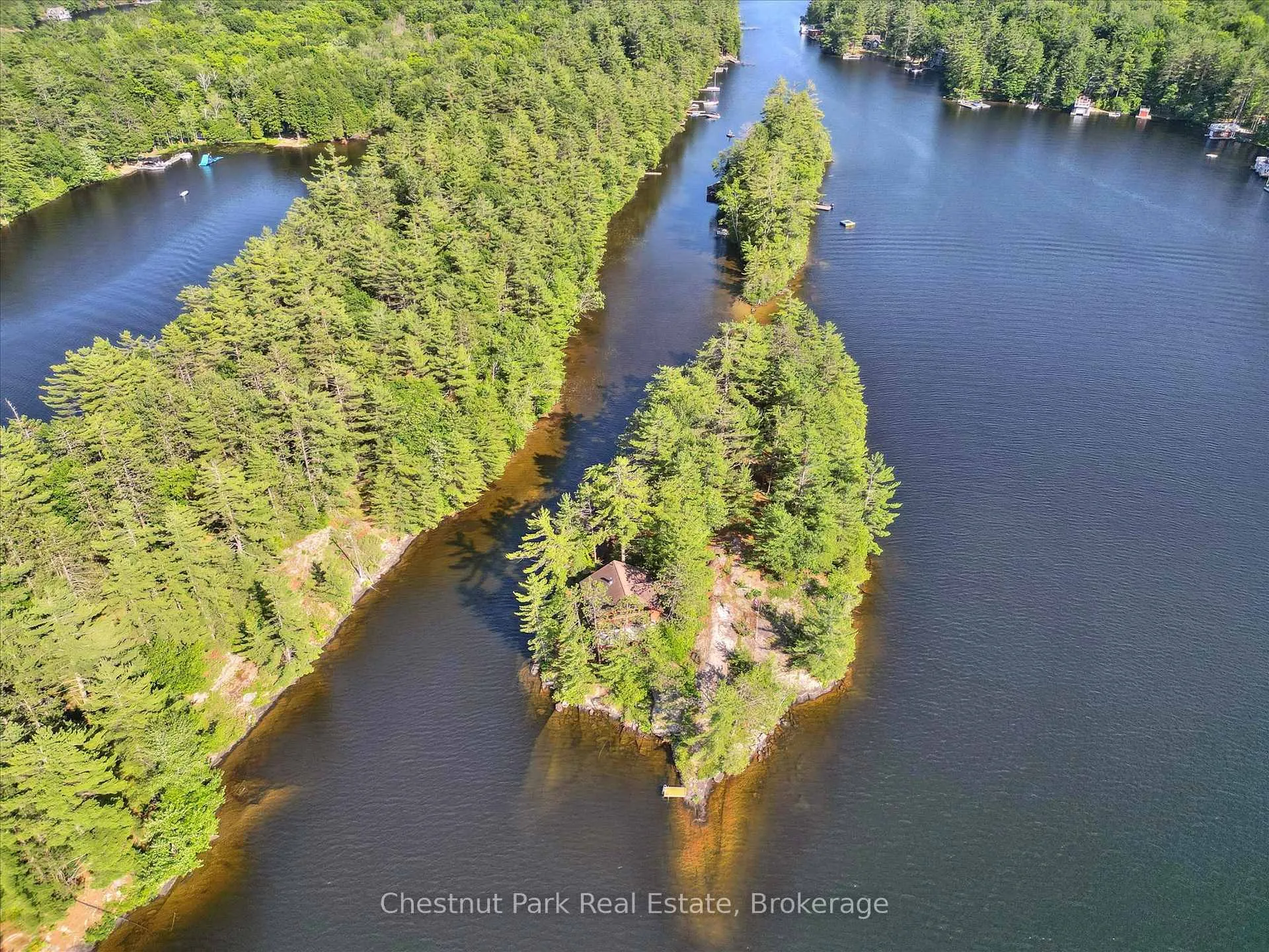 Photo 5 of 1 Diamond Island, Gravenhurst, Muskoka (S) — HOMEH