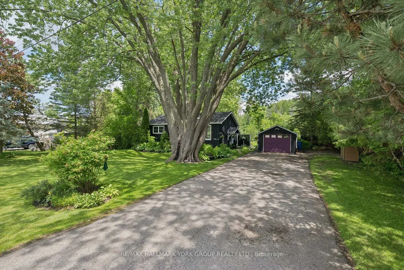 Photo 49 of 47 Sunnidale Boulevard, Georgina, Sutton & Jackson's Point — HOMEH