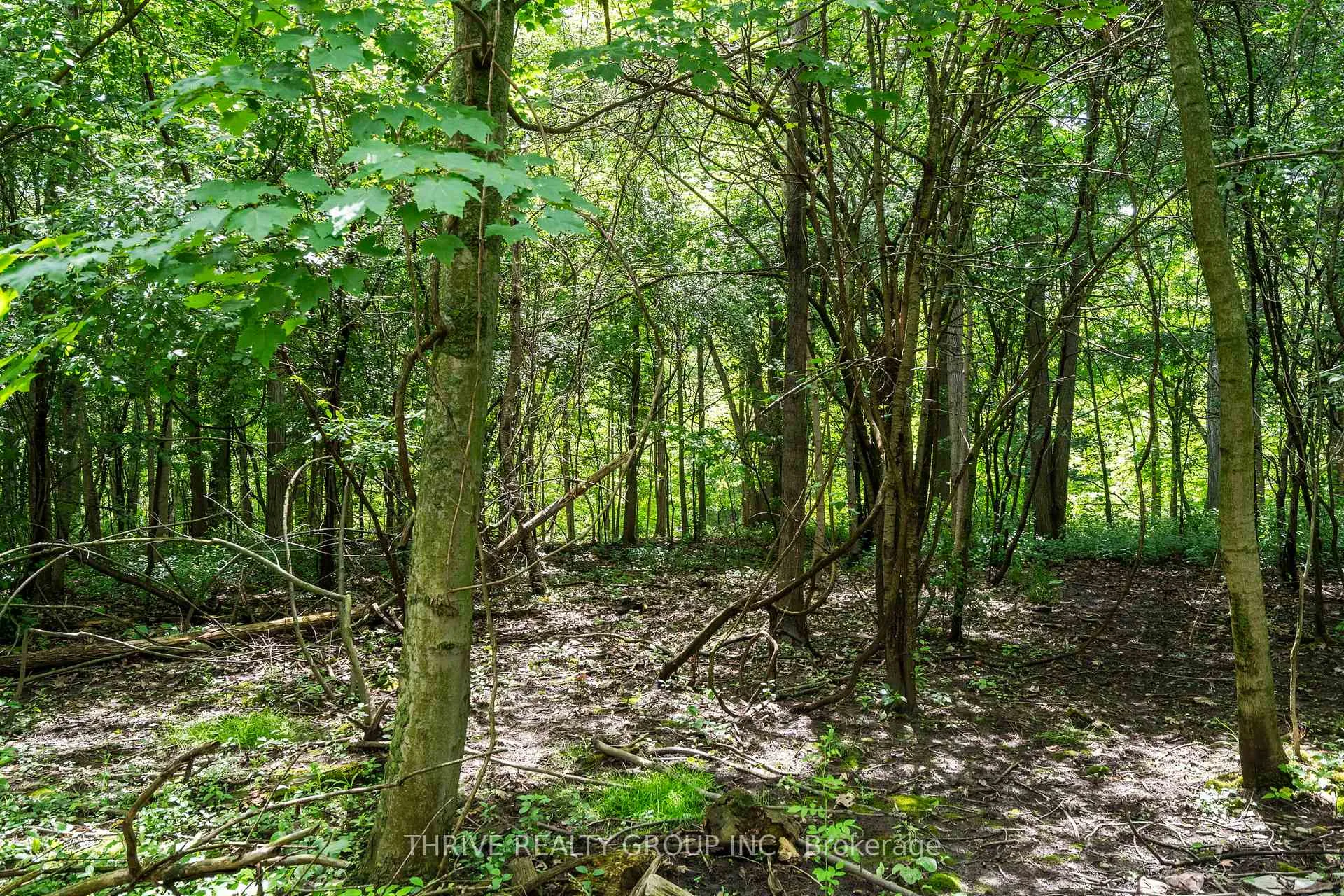 Photo 44 of 255 Ridgewood Crescent, London, South D — HOMEH