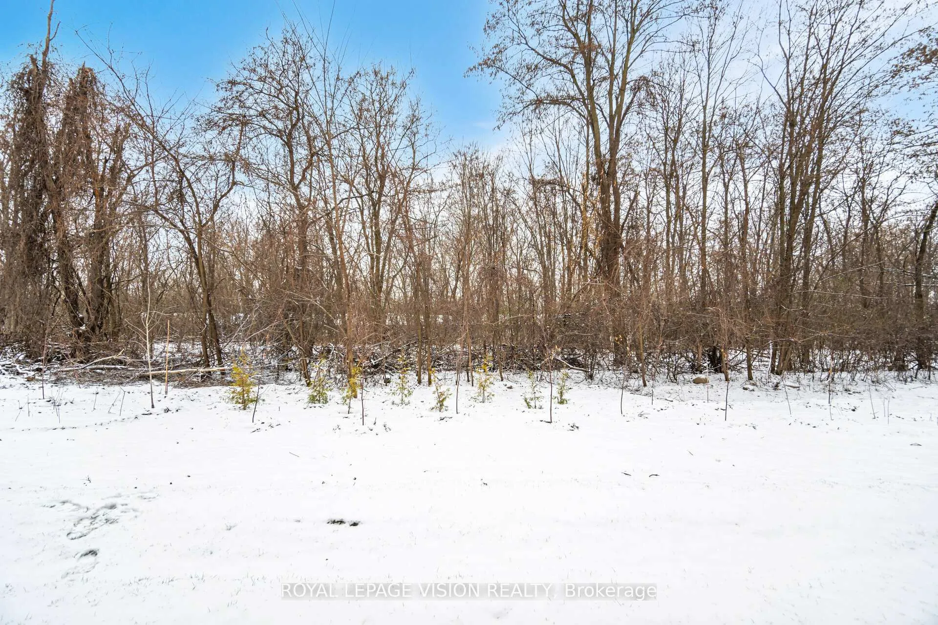 Photo 41 of 60 Folcroft Street, Brampton, Credit Valley — HOMEH