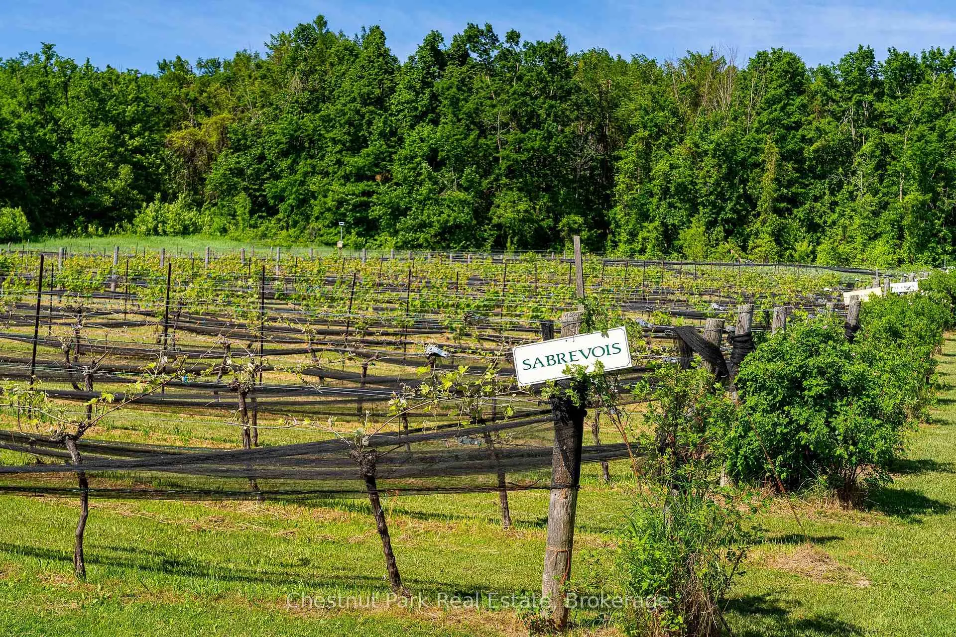 Photo 4 of 3554 Concession 3, Clearview, Rural Clearview — HOMEH