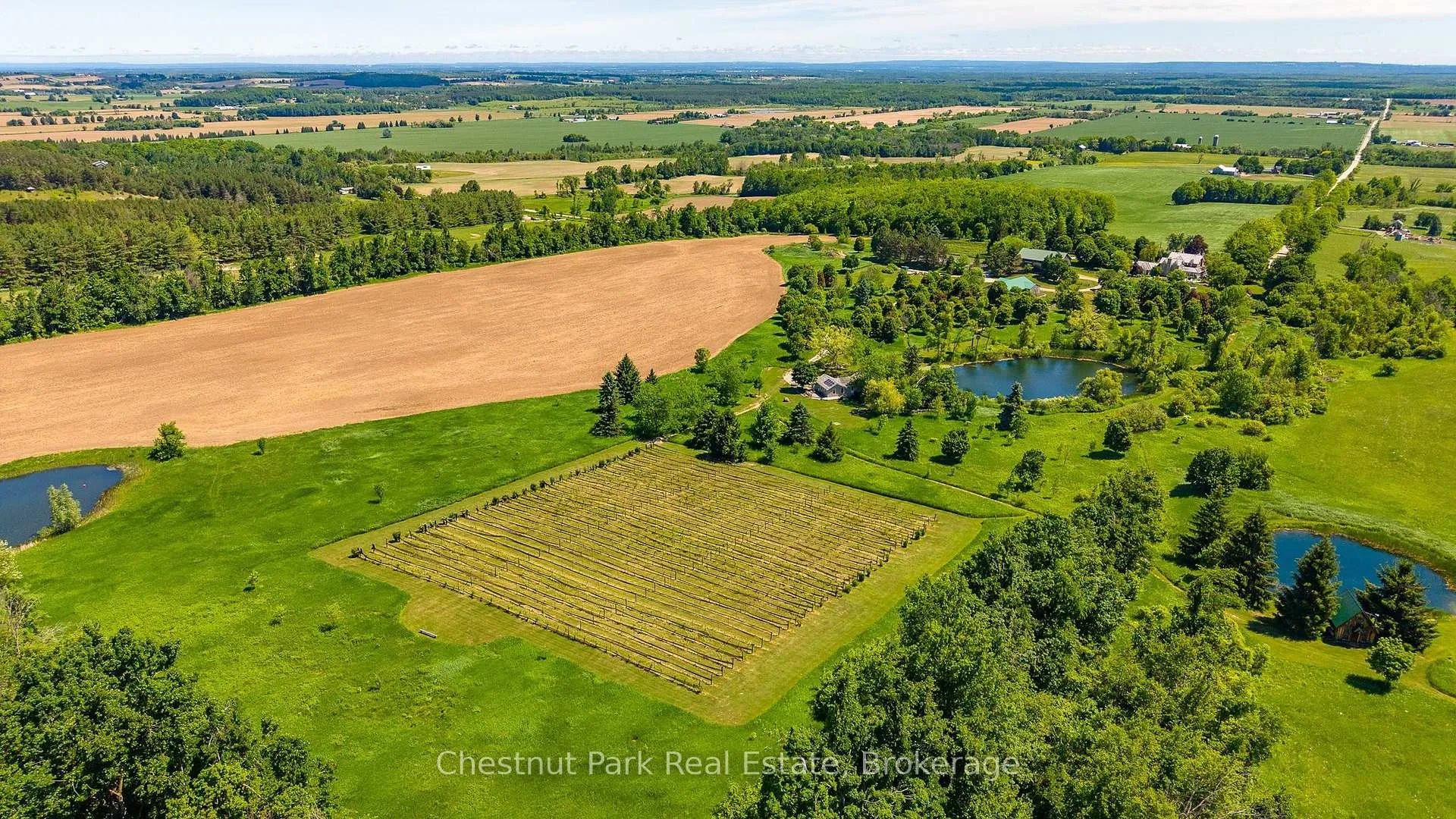 Photo 49 of 3554 Concession 3, Clearview, Rural Clearview — HOMEH