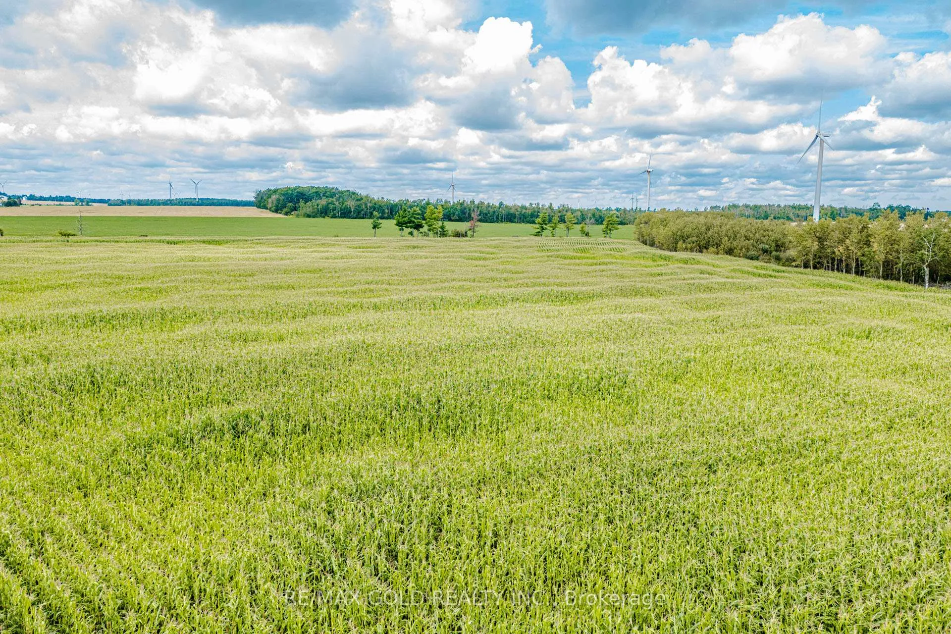 Photo 27 of 255505 9th Line, Amaranth, Rural Amaranth — HOMEH