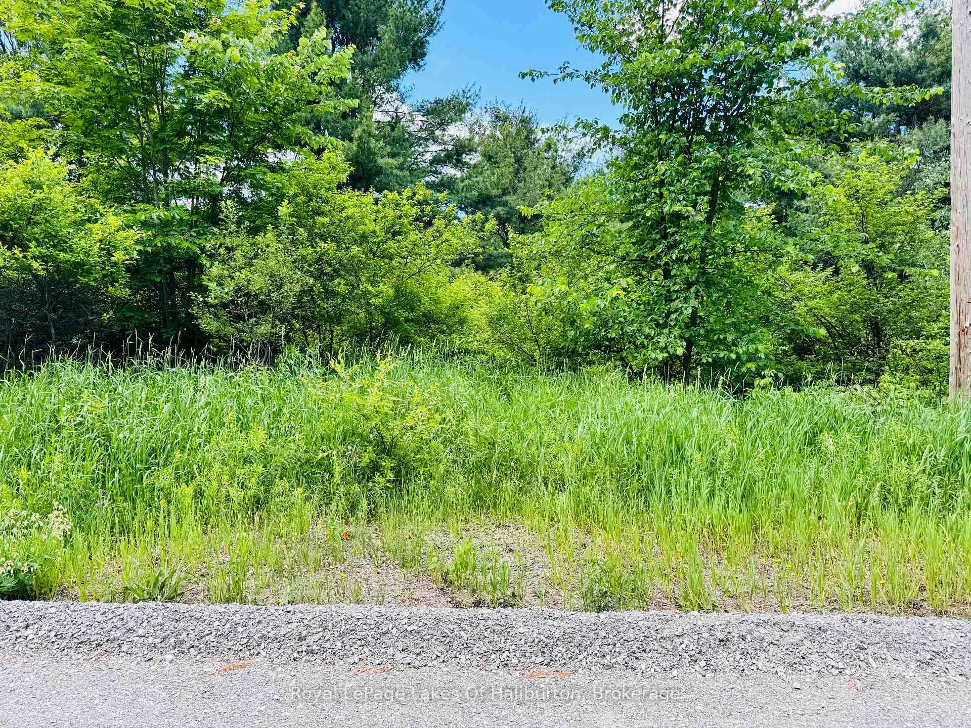 Photo 3 of County Road 121, Kawartha Lakes, Kinmount — HOMEH