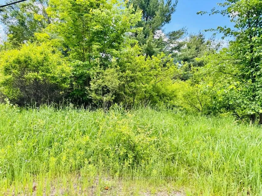 Photo 4 of County Road 121, Kawartha Lakes, Kinmount — HOMEH