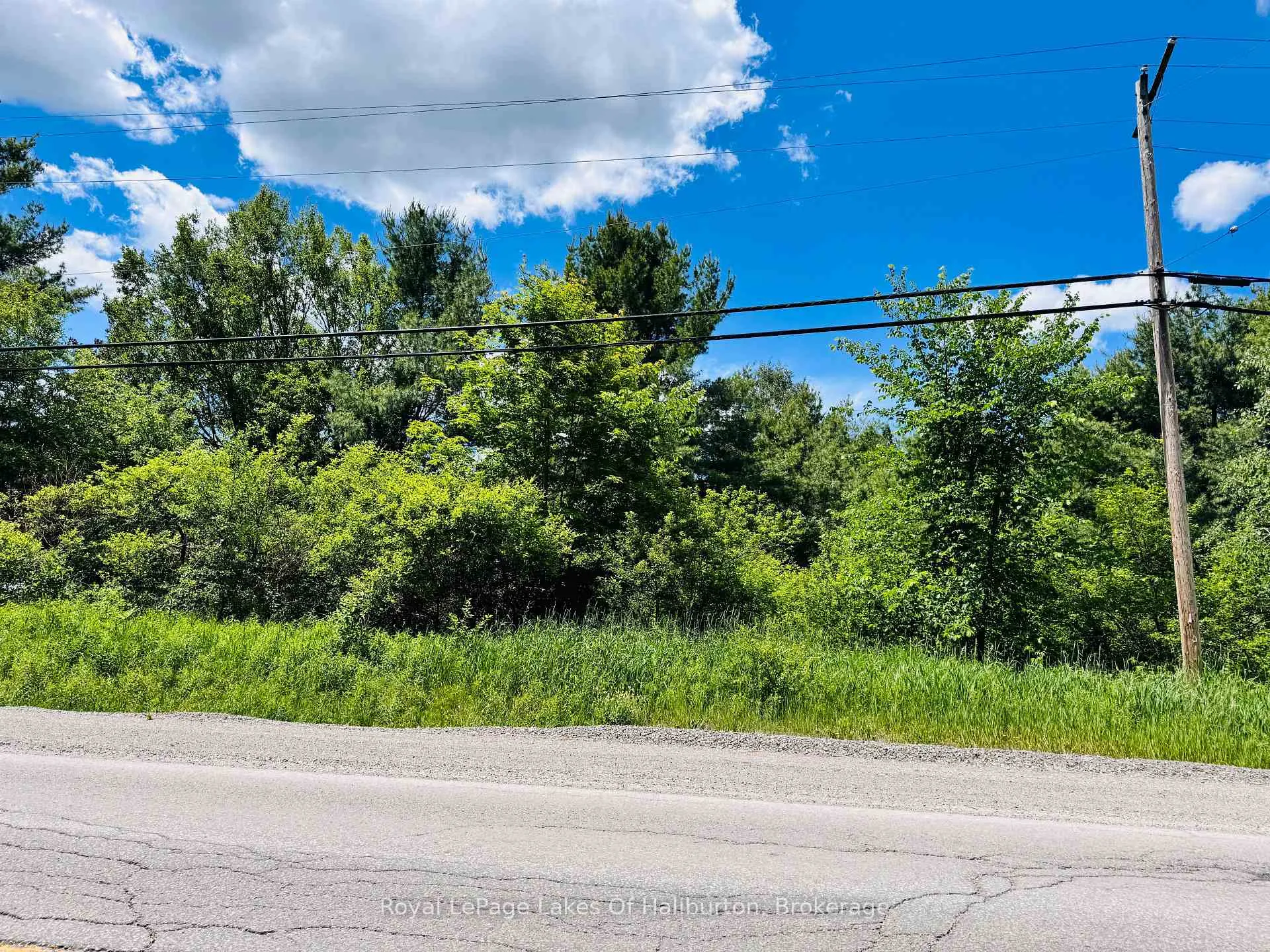 Photo 5 of County Road 121, Kawartha Lakes, Kinmount — HOMEH
