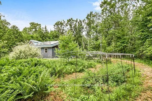 Photo 36 of 1005 Kirby's Beach Road, Bracebridge, Muskoka (N) — HOMEH