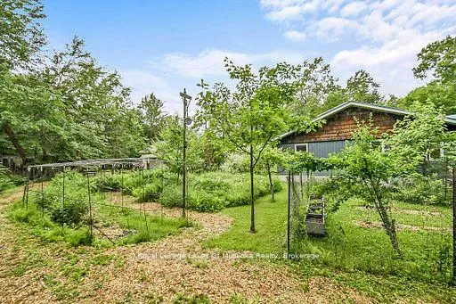Photo 38 of 1005 Kirby's Beach Road, Bracebridge, Muskoka (N) — HOMEH