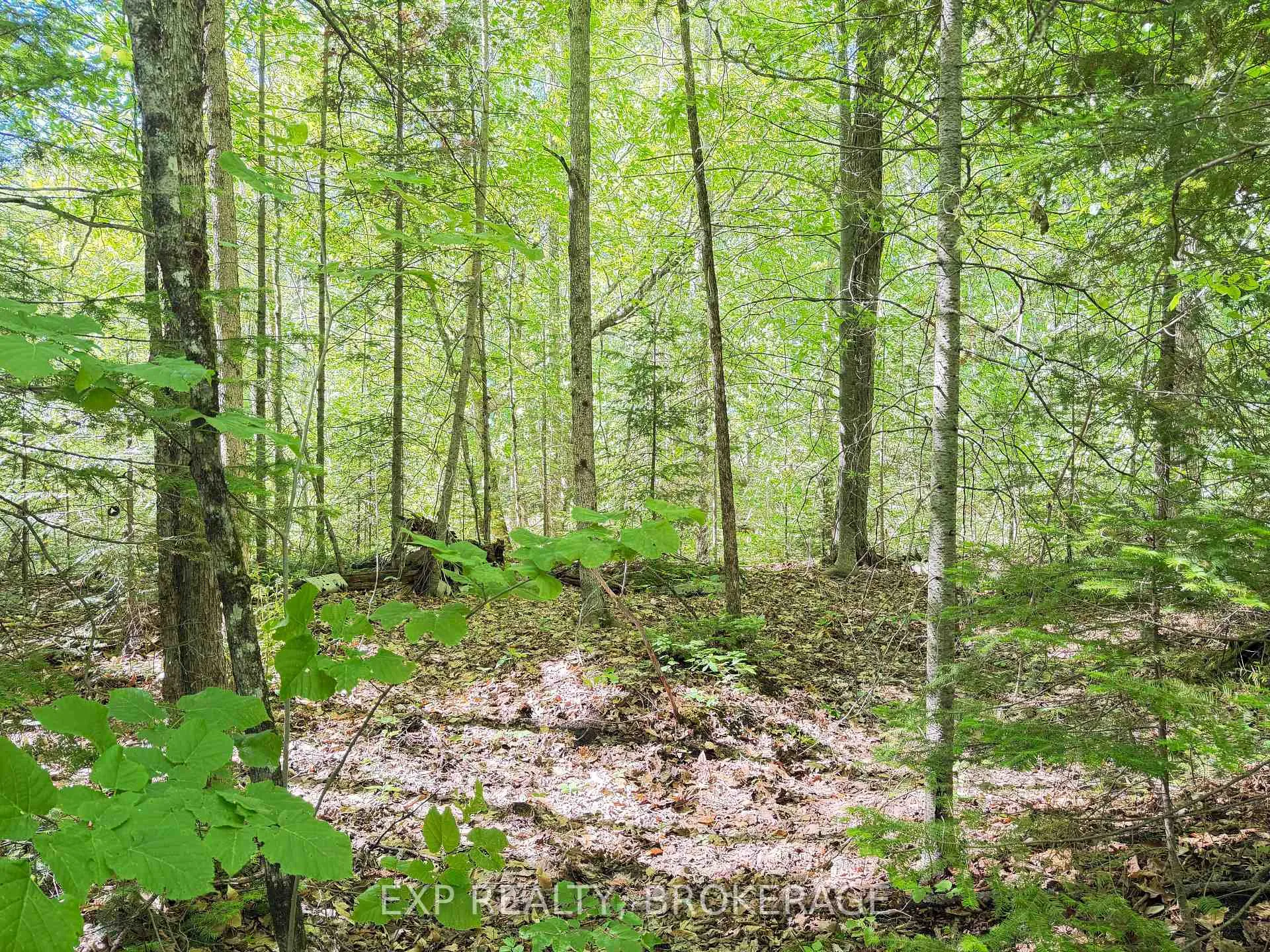 Photo 5 of 00 Steiger Road, Frontenac, Frontenac Centre — HOMEH