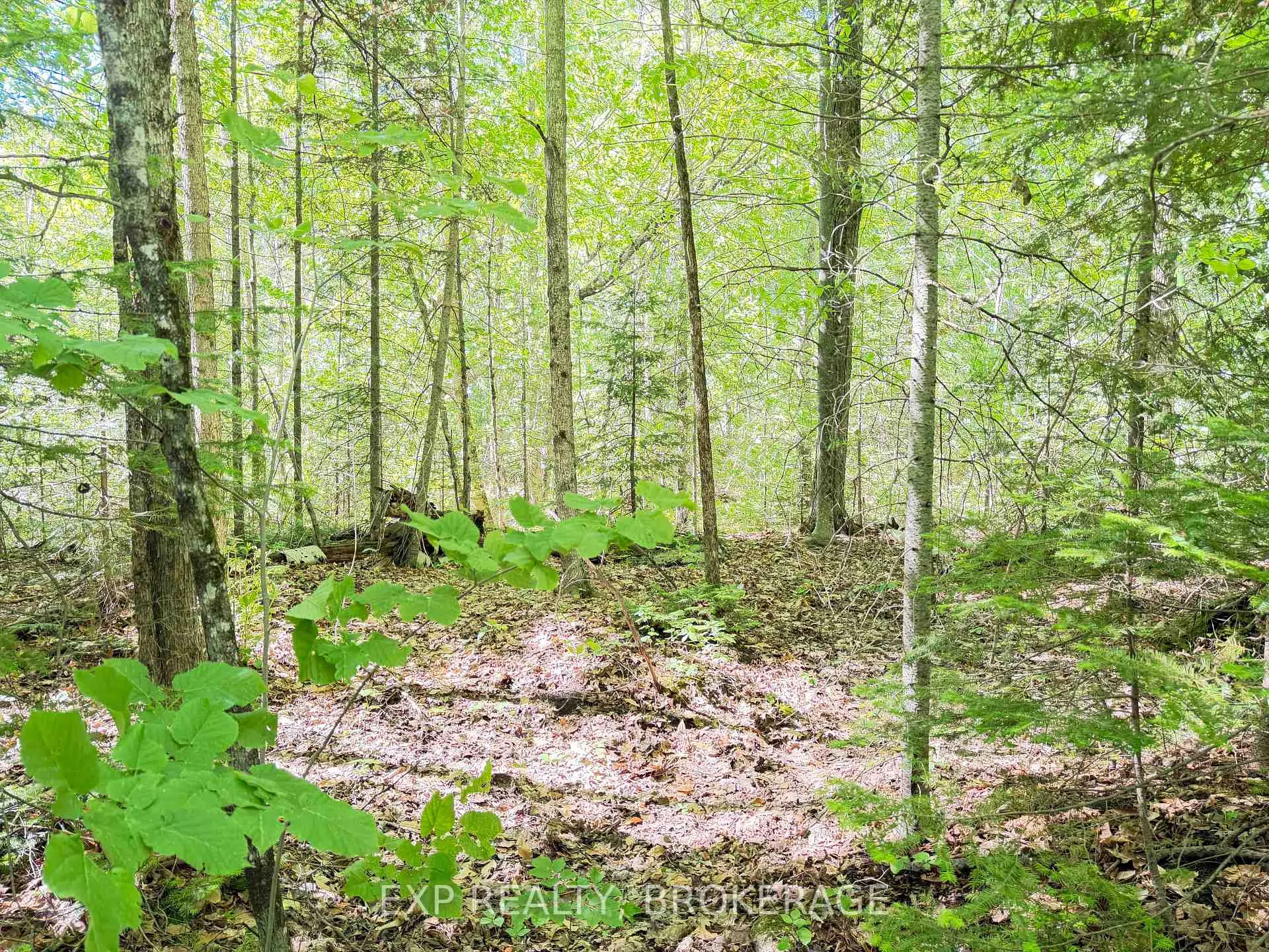 Photo 6 of 00 Steiger Road, Frontenac, Frontenac Centre — HOMEH