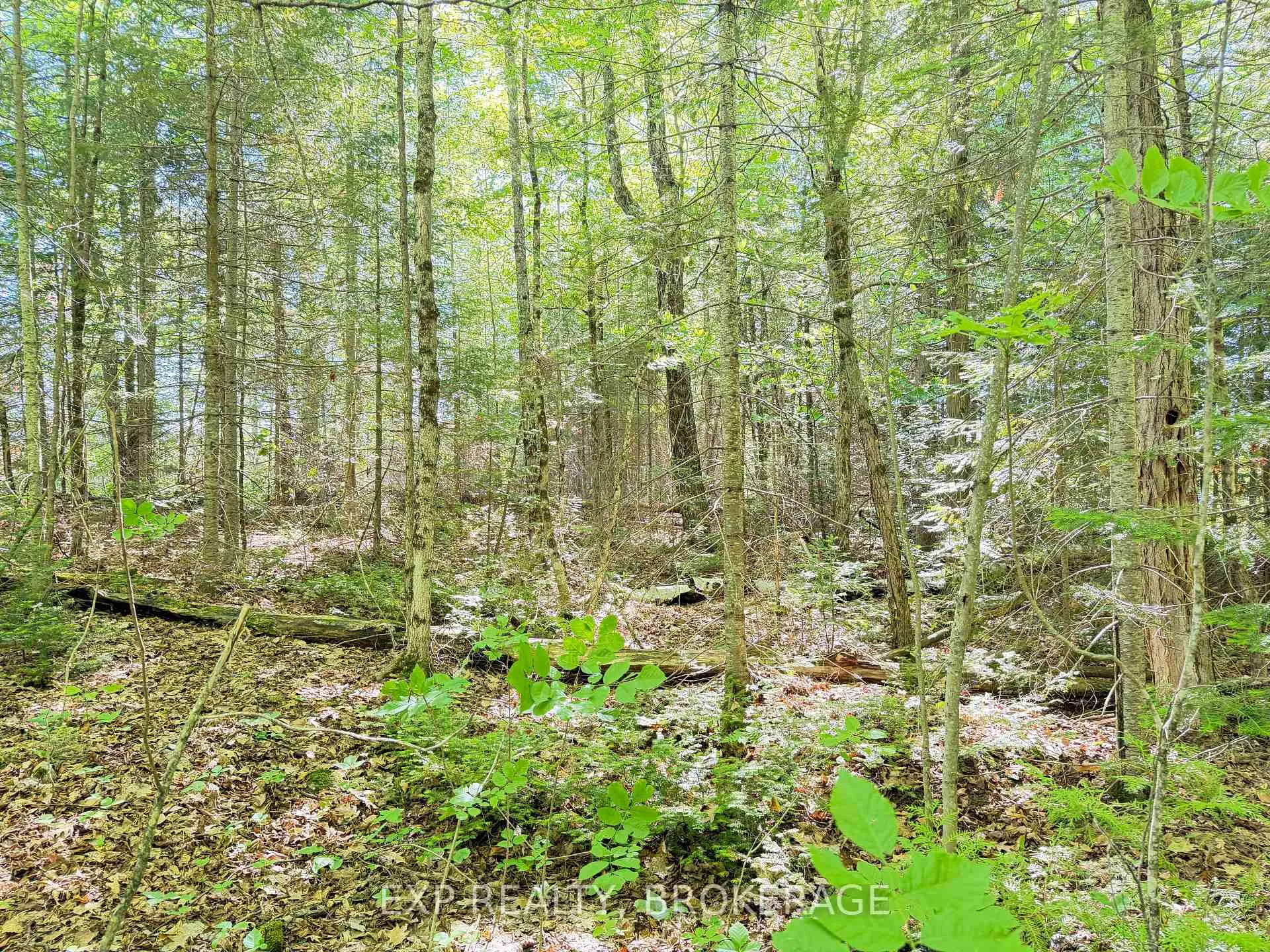 Photo 8 of 00 Steiger Road, Frontenac, Frontenac Centre — HOMEH