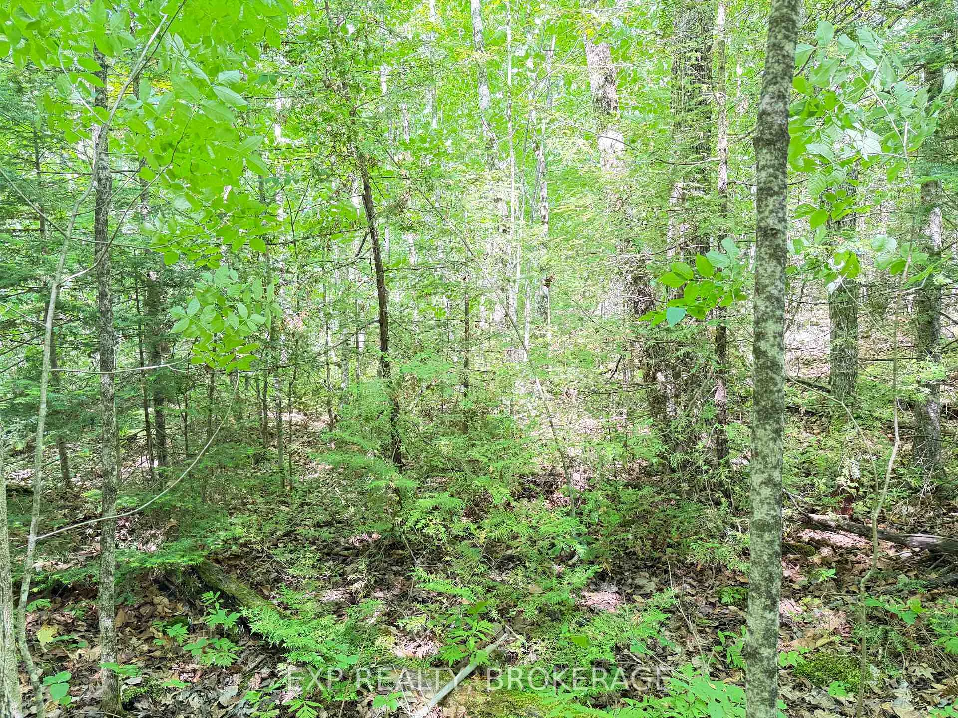 Photo 9 of 00 Steiger Road, Frontenac, Frontenac Centre — HOMEH