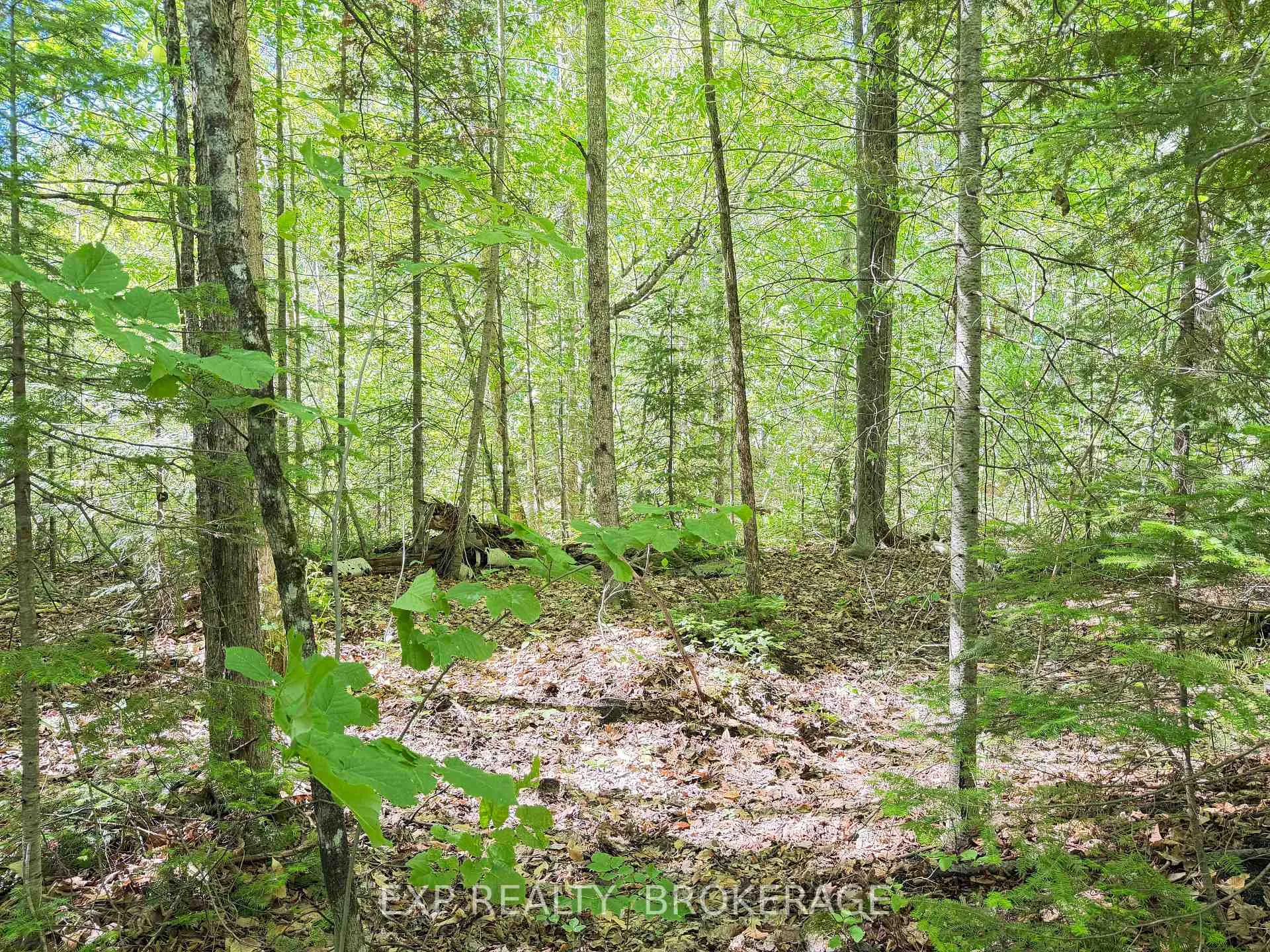 Photo 10 of 00 Steiger Road, Frontenac, Frontenac Centre — HOMEH