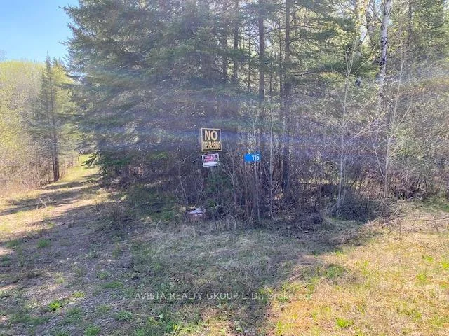Photo 8 of 115 Rintala Loop Rd, Thunder Bay Remote Area, Lybster — HOMEH