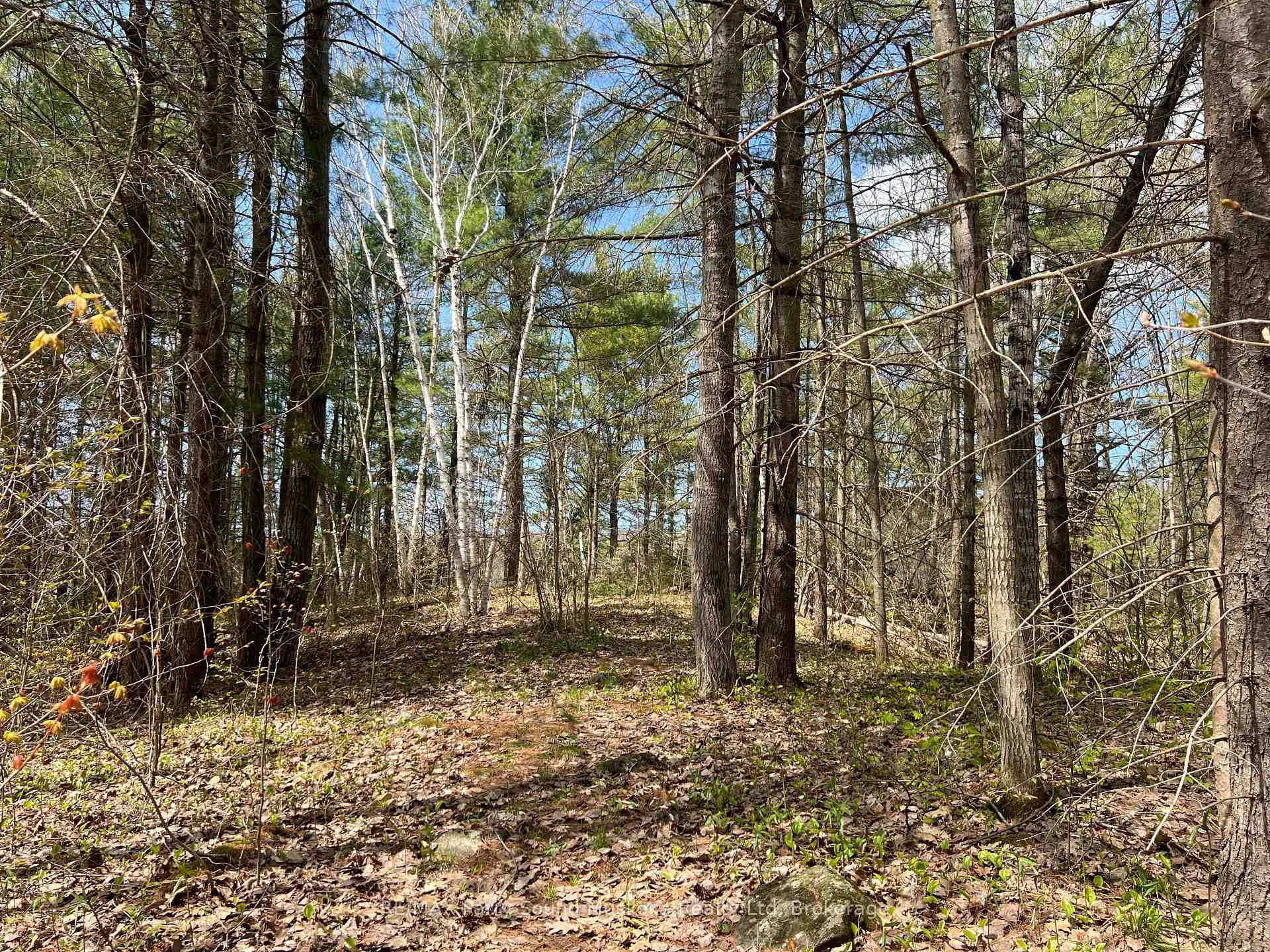Photo 14 of Part Lot 31 Rose Point Trail, Seguin — HOMEH