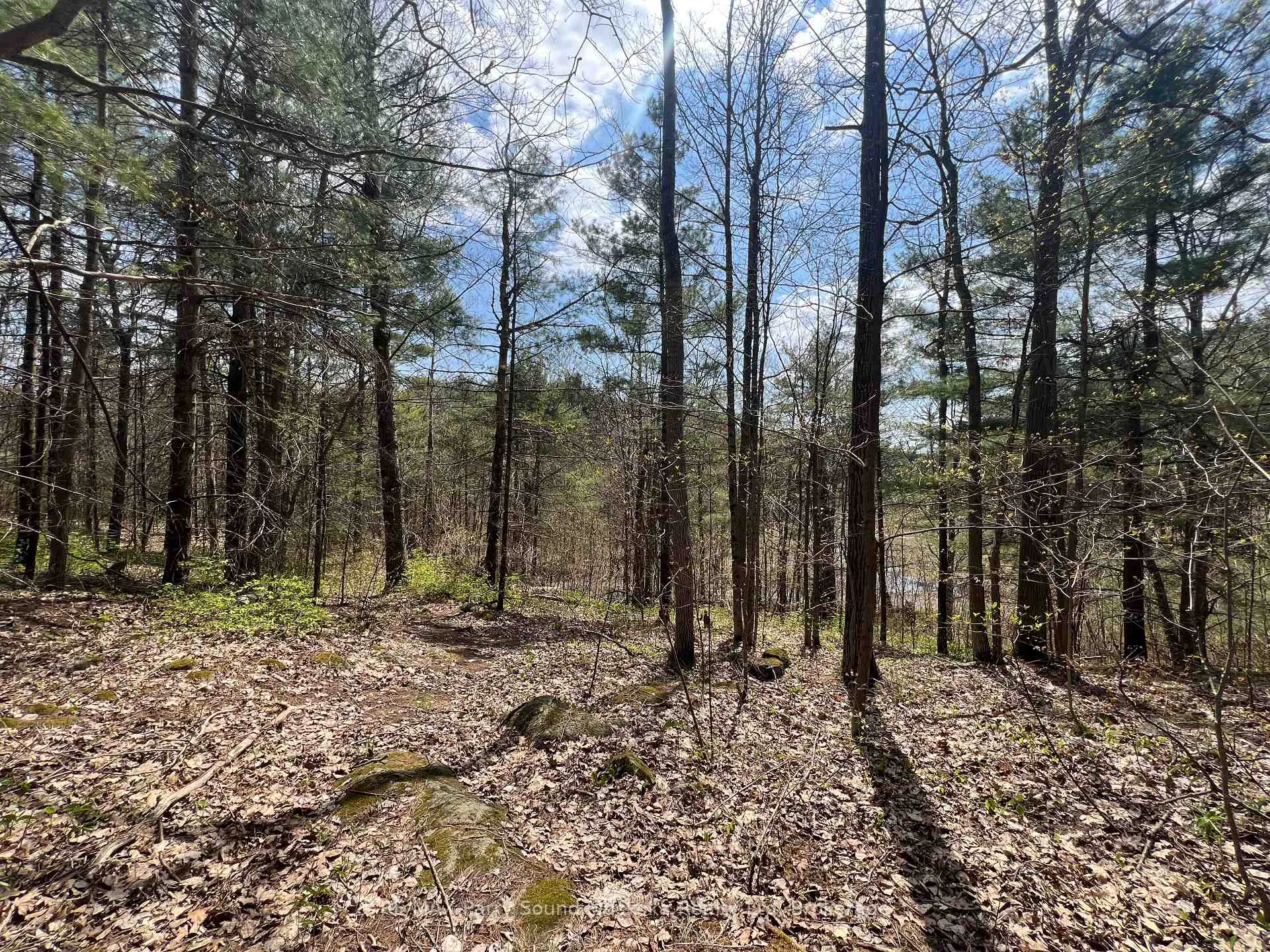 Photo 15 of Part Lot 31 Rose Point Trail, Seguin — HOMEH