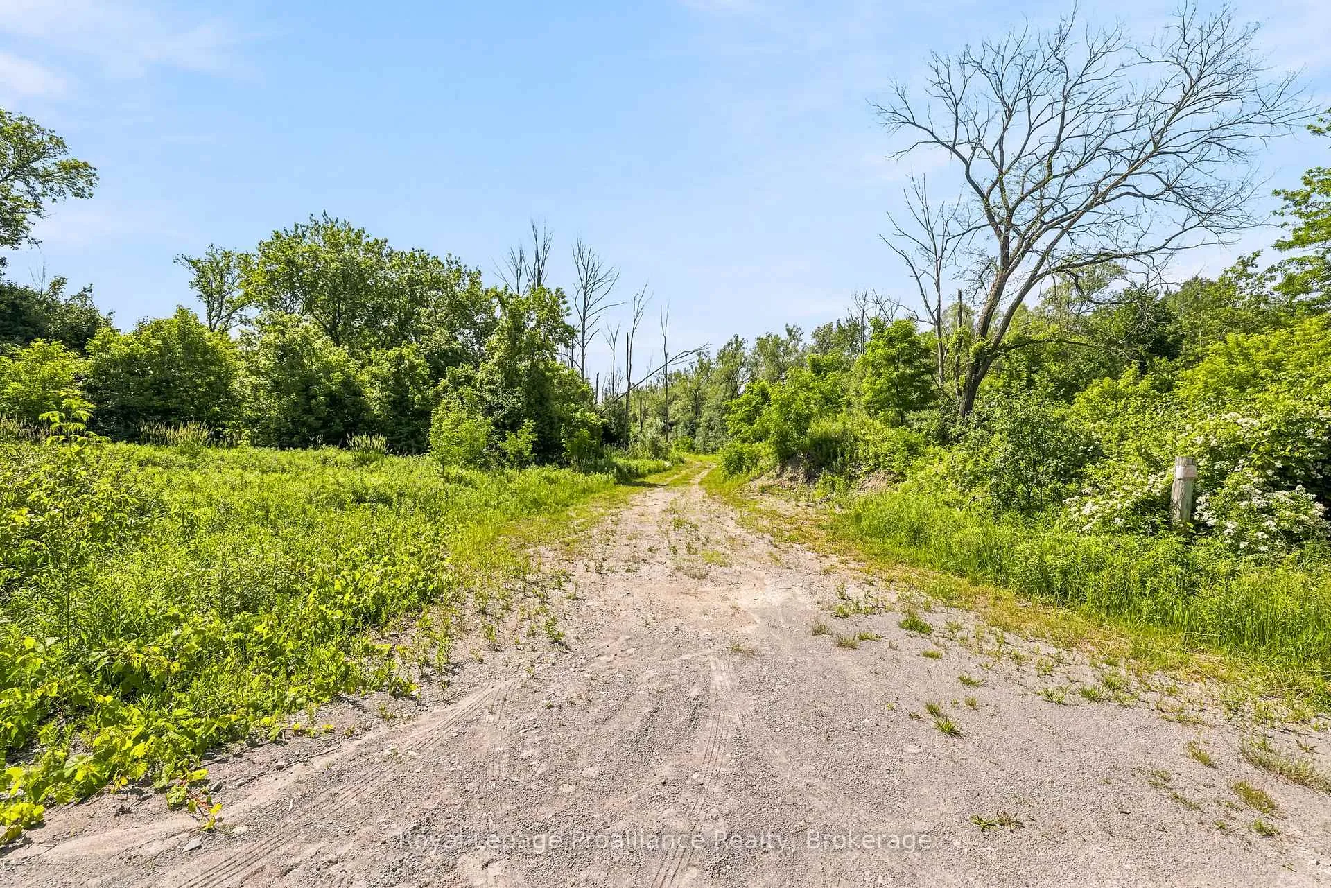 Photo 14 of 00 Bickle Hill Road, Hamilton Township, Rural Hamilton — HOMEH