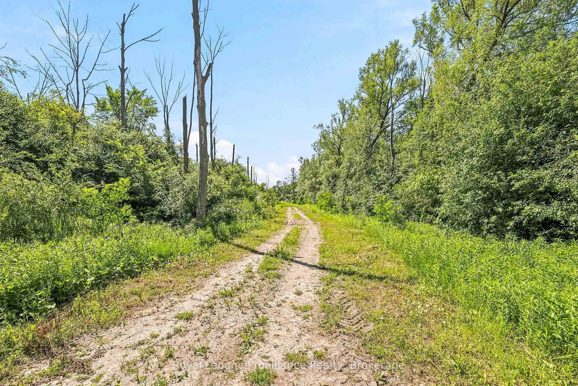 Photo 17 of 00 Bickle Hill Road, Hamilton Township, Rural Hamilton — HOMEH