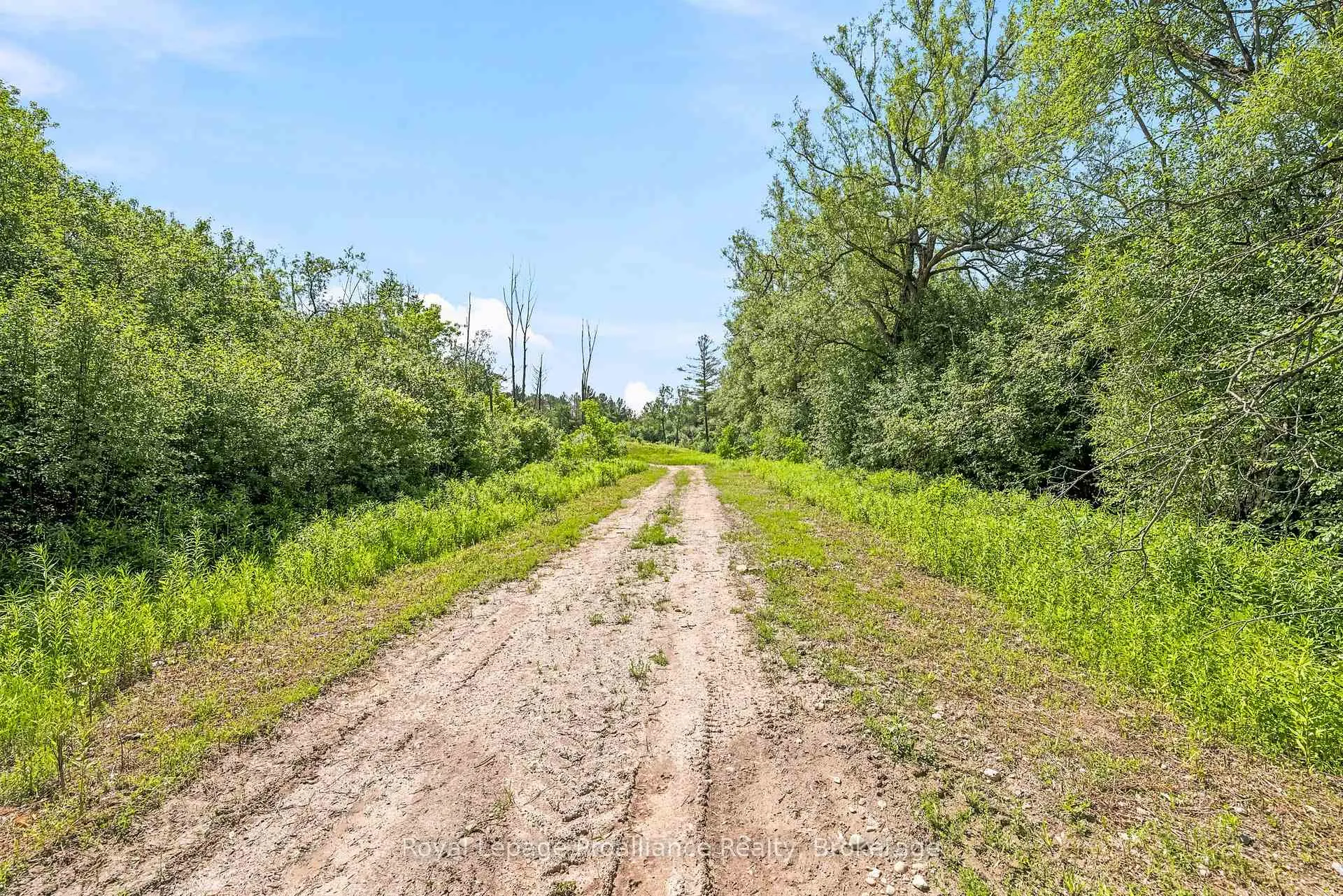 Photo 18 of 00 Bickle Hill Road, Hamilton Township, Rural Hamilton — HOMEH