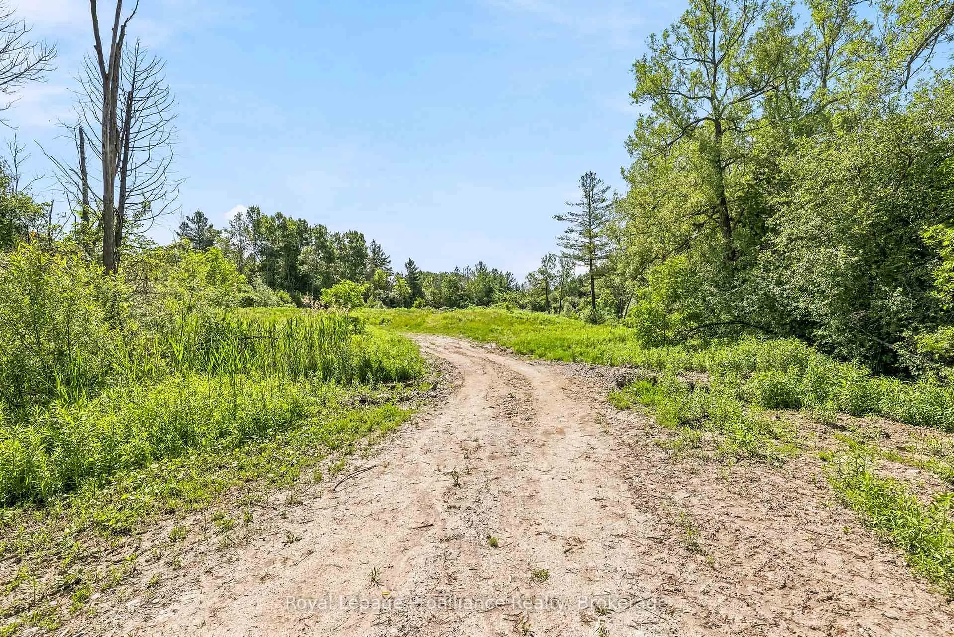 Photo 20 of 00 Bickle Hill Road, Hamilton Township, Rural Hamilton — HOMEH