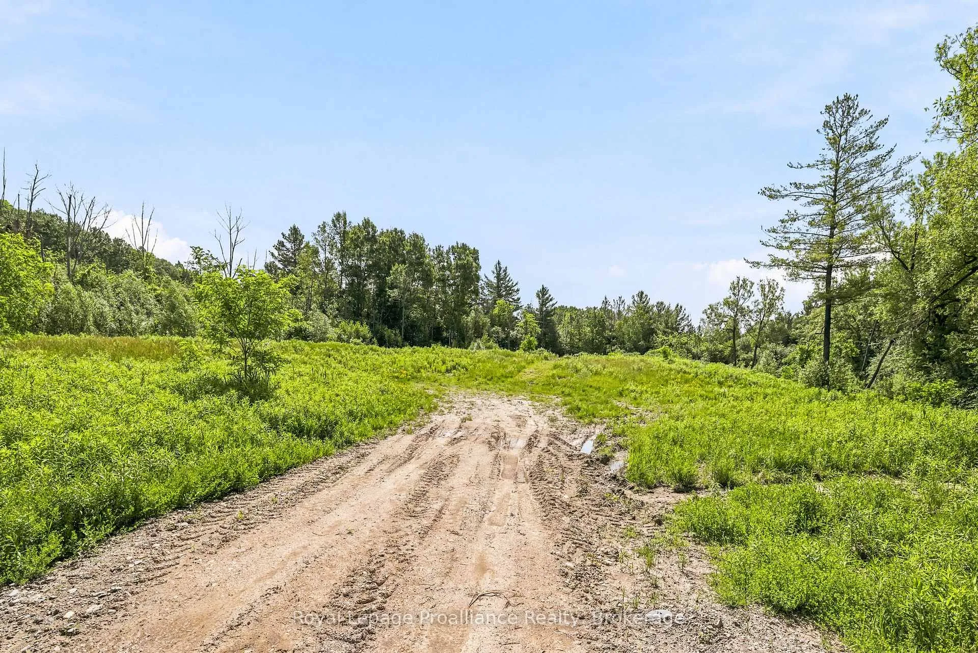 Photo 21 of 00 Bickle Hill Road, Hamilton Township, Rural Hamilton — HOMEH
