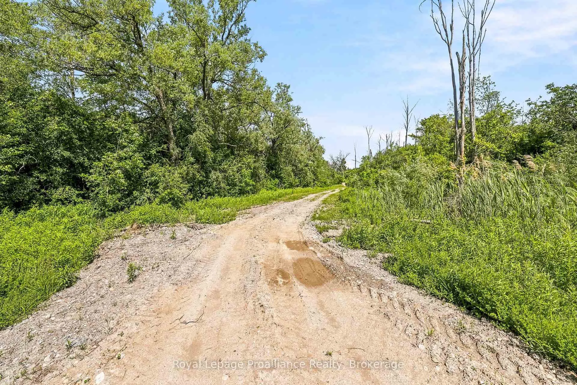 Photo 22 of 00 Bickle Hill Road, Hamilton Township, Rural Hamilton — HOMEH