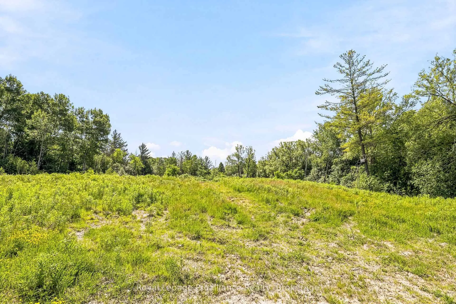 Photo 28 of 00 Bickle Hill Road, Hamilton Township, Rural Hamilton — HOMEH