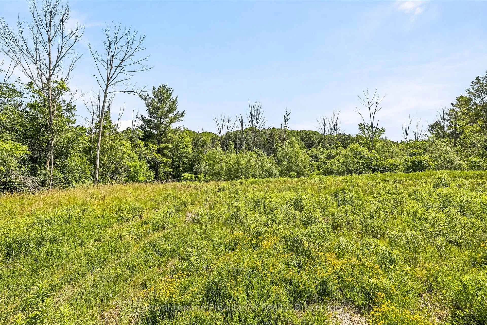 Photo 29 of 00 Bickle Hill Road, Hamilton Township, Rural Hamilton — HOMEH