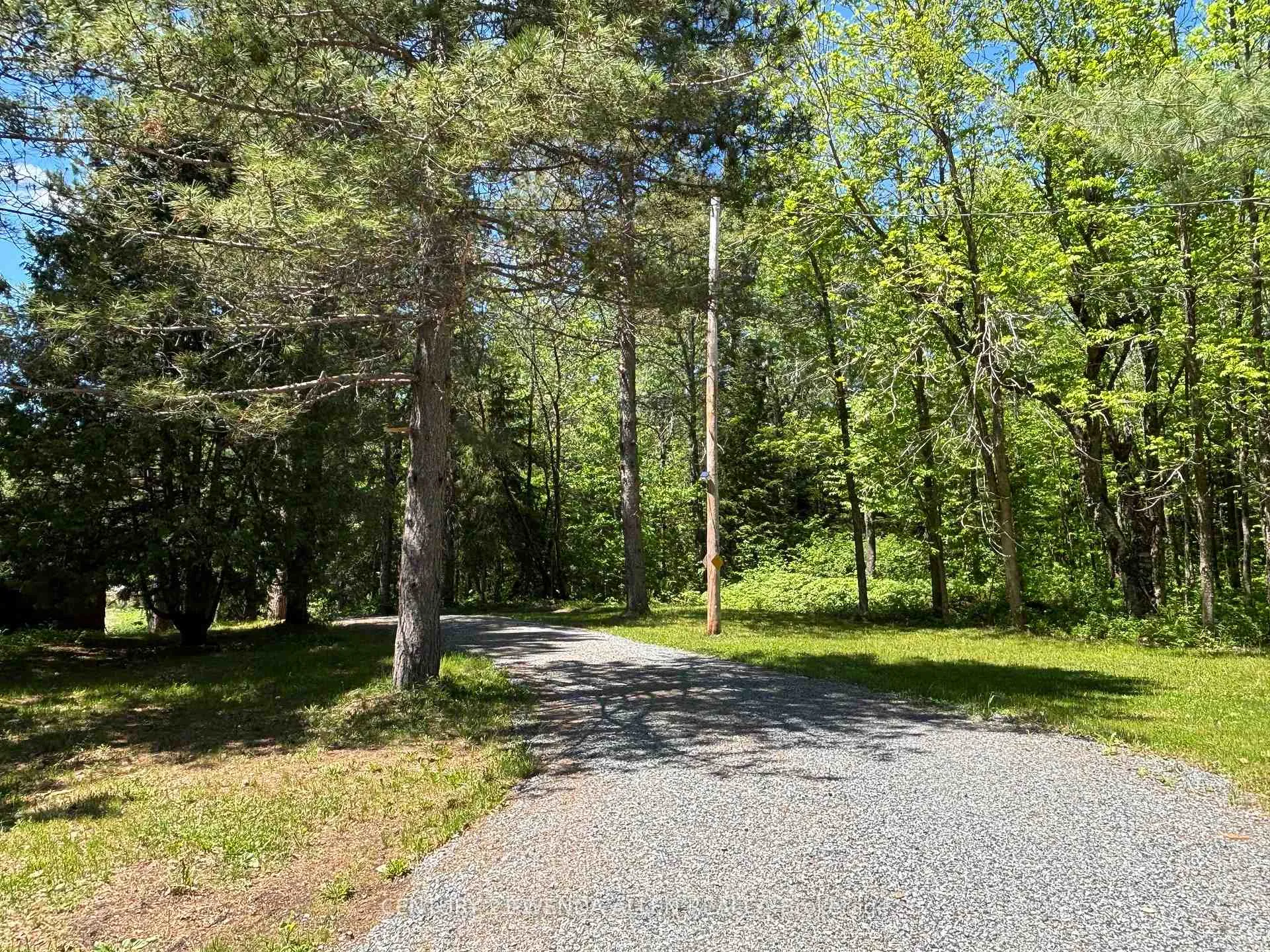 Photo 5 of 2913 Highway 11 N, Temagami — HOMEH
