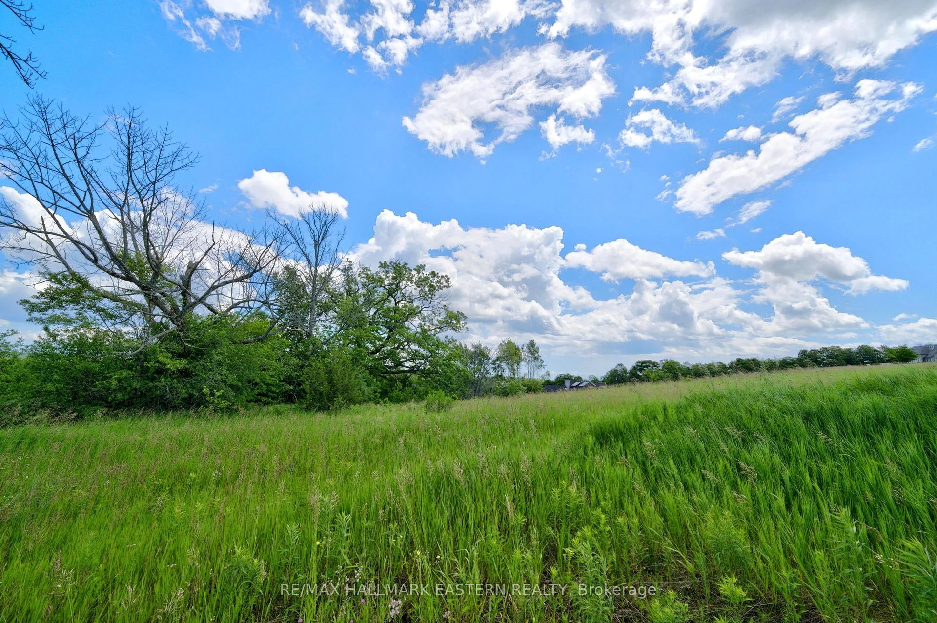 Photo 20 of 9179 Racetrack Road, Hamilton Township, Rural Hamilton — HOMEH