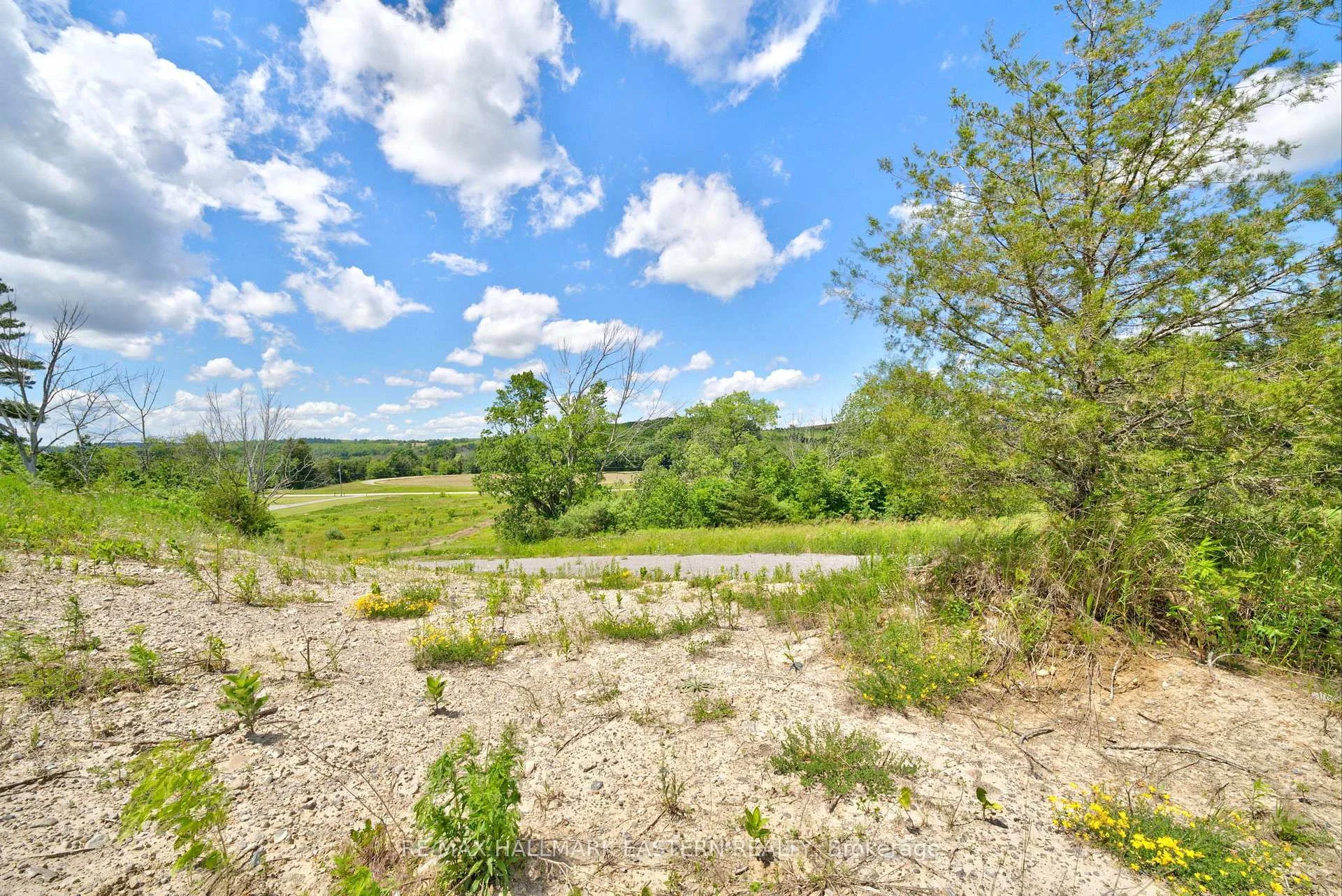 Photo 29 of 9179 Racetrack Road, Hamilton Township, Rural Hamilton — HOMEH