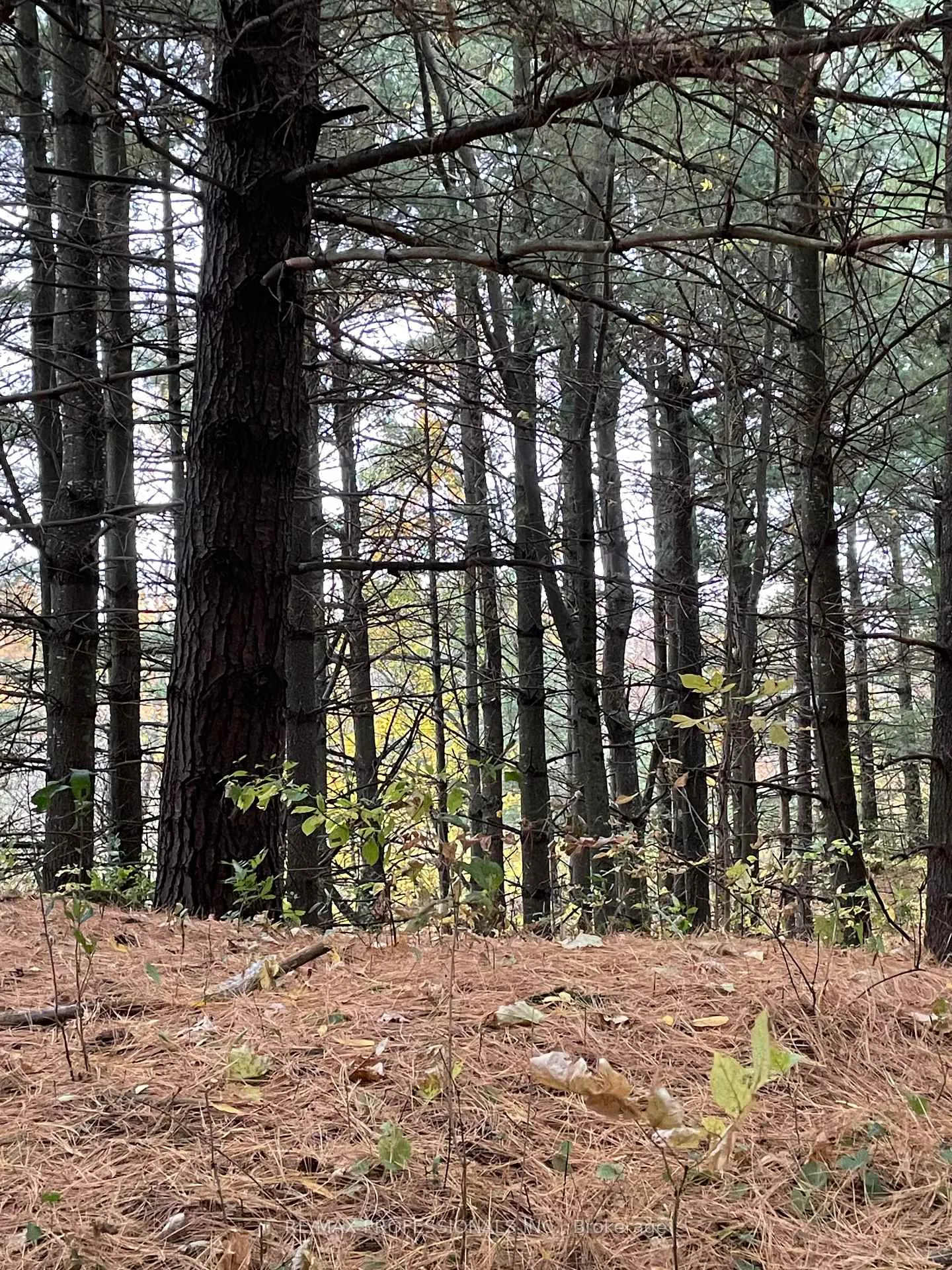 Photo 21 of 14070 Dublin Line, Halton Hills, Rural Halton Hills — HOMEH