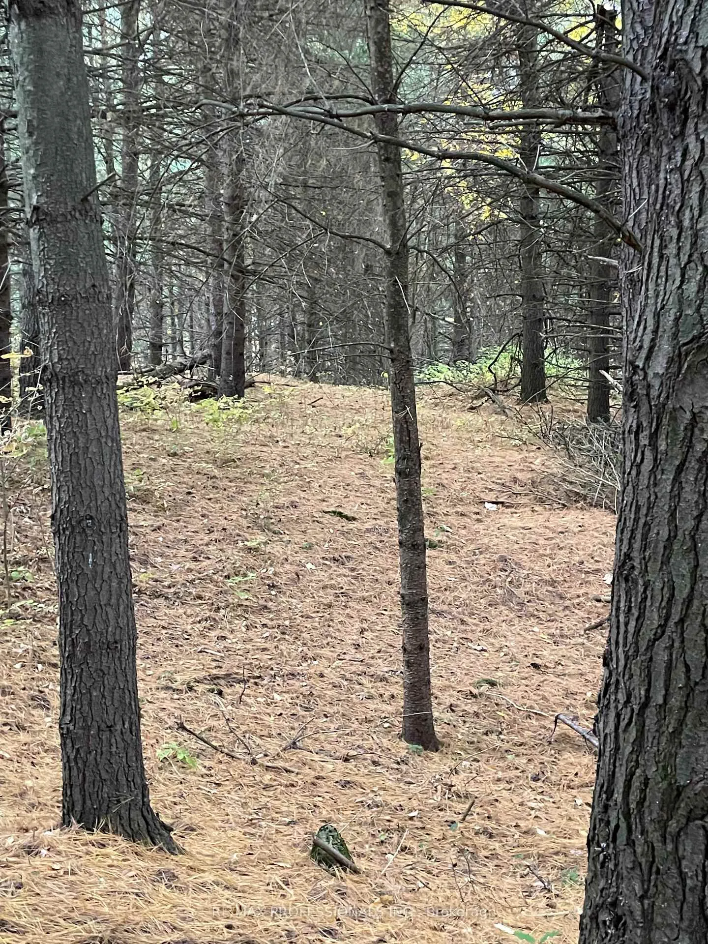 Photo 22 of 14070 Dublin Line, Halton Hills, Rural Halton Hills — HOMEH